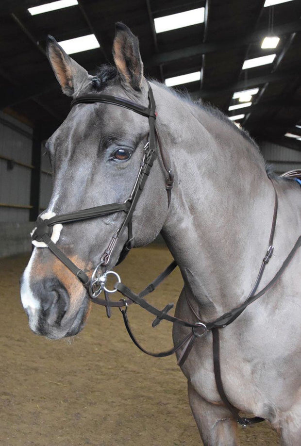 Whitaker Martingale Cob / Black Whitaker Ready To Ride Martingale