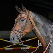 Whitaker brid Cob / Havana Whitaker Ready To Ride Flash Bridle