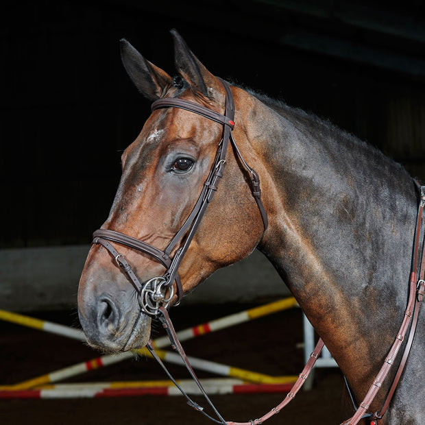 Whitaker brid Cob / Havana Whitaker Ready To Ride Flash Bridle