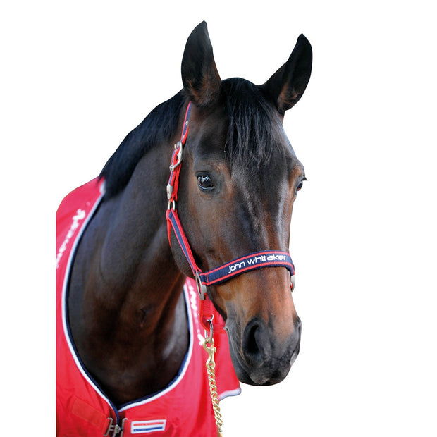 Whitaker Headcollar Full Whitaker Headcollar Padded Fleece Red/Navy