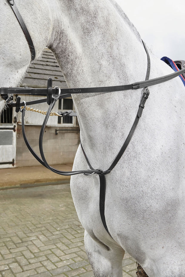 Whitaker Reins Pony / Black Whitaker Lynton Running Martingale