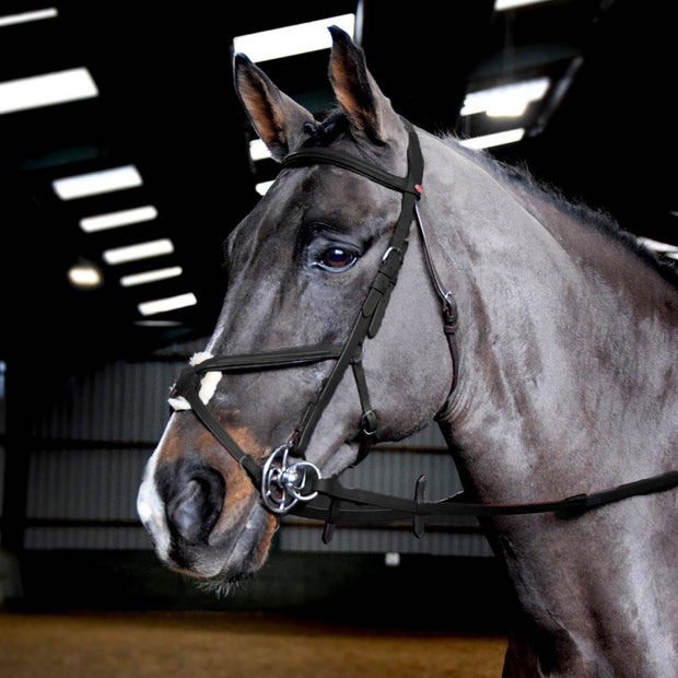 Whitaker Bridle Pony / Black Whitaker Ready To Ride Mexican Bridle