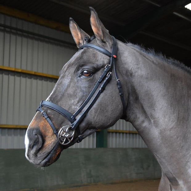 Whitaker Bridle Pony / Black Whitaker Ready To Ride Snaffle Bridle