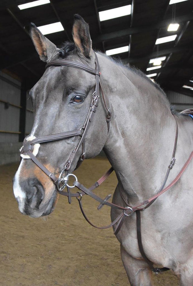 Whitaker Martingale Pony / Havana Whitaker Ready To Ride Martingale