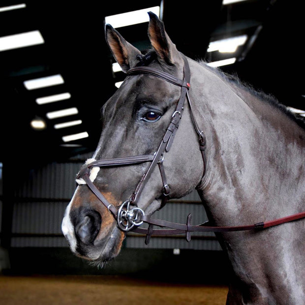 Whitaker Bridle Pony / Havana Whitaker Ready To Ride Mexican Bridle