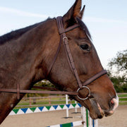 Whitaker Bridle Pony / Havana Whitaker Ready To Ride Snaffle Bridle