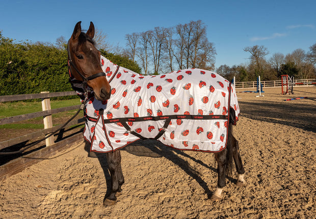 Whitaker Fly Rug Whitaker Ladybird Fly Rug