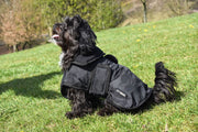 Whitaker Dog Coat XSmall Whitaker Sydney Dog Coat