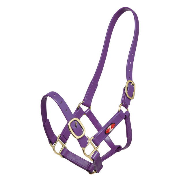 Zilco Headcollar Cob / Purple Zilco PN Headcollar 25mm