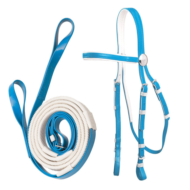 Zilco Bridle Cyan Zilco Race Bridle with Loop End Reins Set White Grips