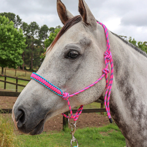 Zilco Headcollar Knotted Halter with Ring