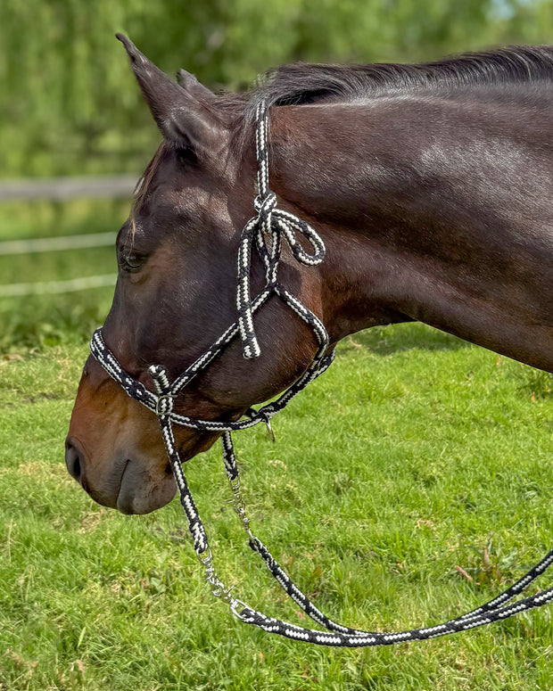 Zilco Headcollar Rope Halter with Reins