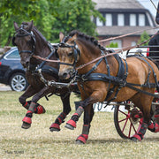 Zilco Driving Harness Zilco Classic Pair Harness