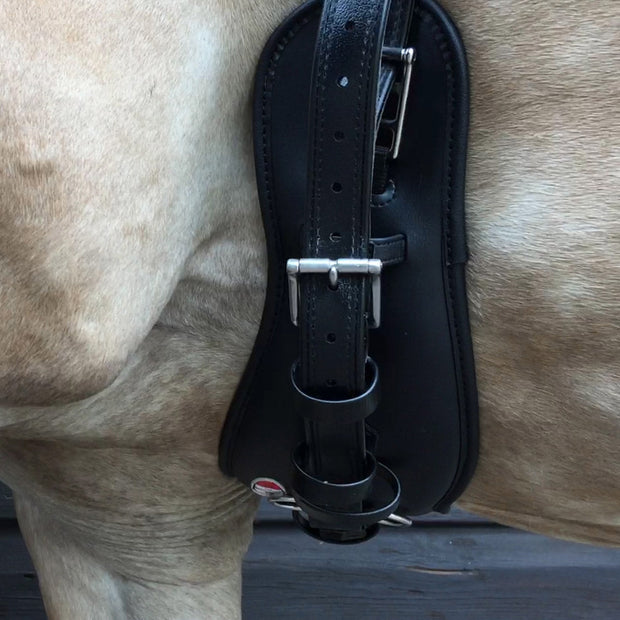 Zilco Driving Harness Zilco Empathy Girth ZGB Elite