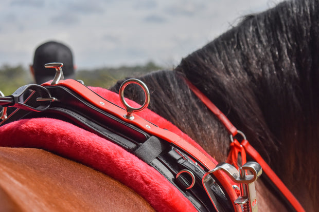 Zilco Harness Racing Saddle Zilco Saddle Plate and Hook