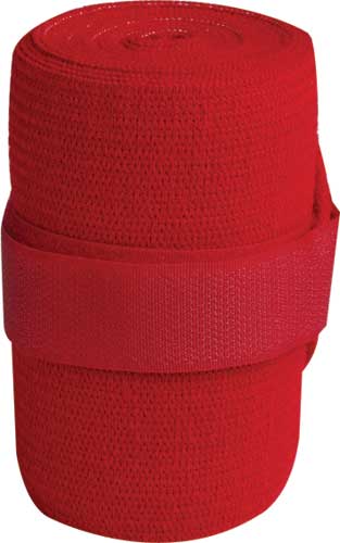 Aintree Bandages Aintree Elastic Tail Bandage
