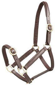 Aintree Headcollar Aintree Leather Foal Headcollar