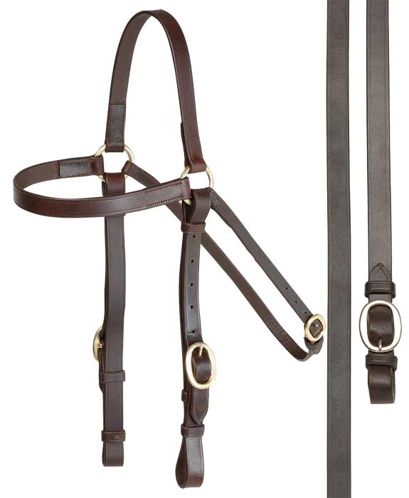 Aintree Bridle Cob Aintree Barcoo Bridle
