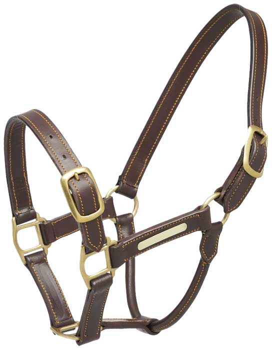 Aintree Headcollar Cob Aintree Leather Headcollar
