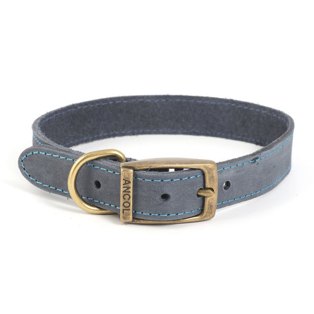 Ancol Dog Collar 36-46cm Ancol Timberwolf Leather Dog Collar Blue