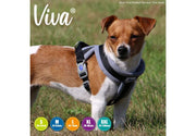 Ancol Dog Harness Ancol Viva Padded Dog Harness