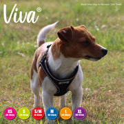 Ancol Dog Harness Ancol Viva Step-In Dog Harness