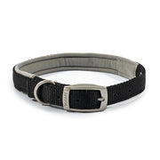 Ancol Dog Collar Size 5 (39-48cm) / Black Ancol Viva Padded Dog Collar