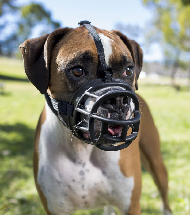 Baskerville Baskerville Ultra Muzzle