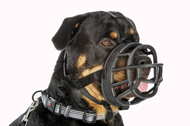 Baskerville Baskerville Ultra Muzzle