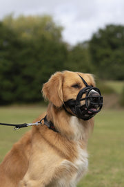 Baskerville Baskerville Ultra Muzzle