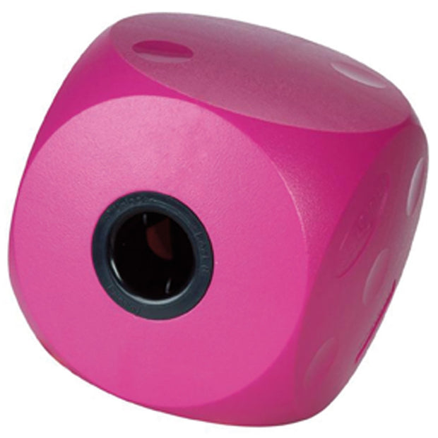 Buster & Kruuse Dog Toy Cherry Buster Food Cube Large