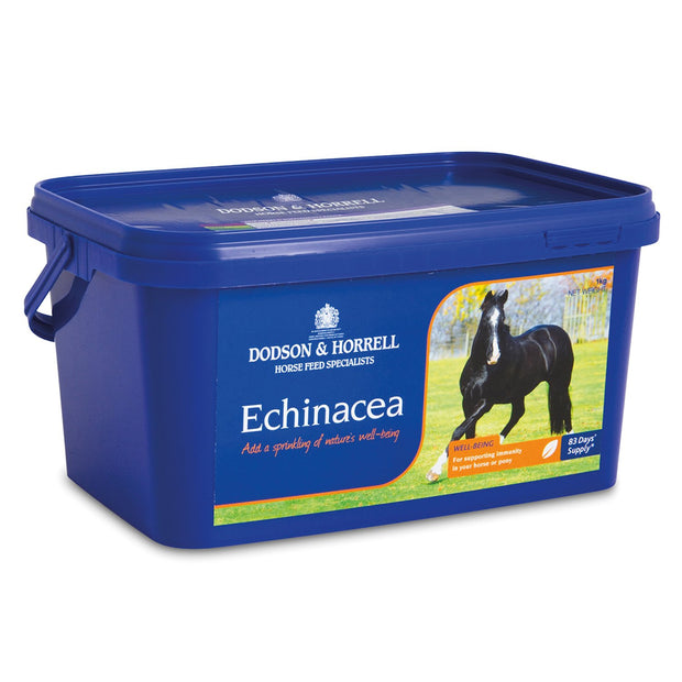 Dodson & Horrell Supplements 1 Kg Dodson & Horrell Echinacea