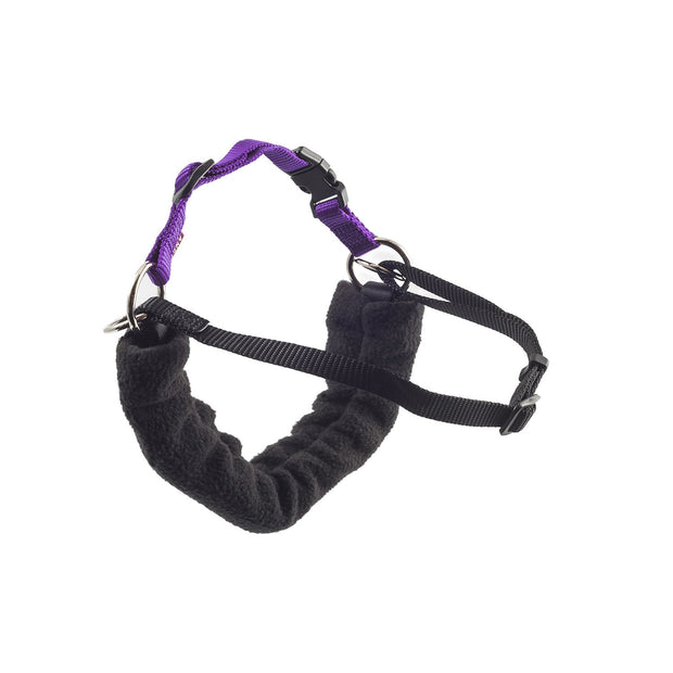 Easidri Dog Harness Ancol PDL Dog Harness & Lead