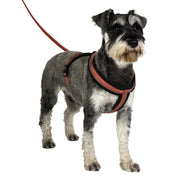 Easidri Dog Harness Halti Comfy Harness