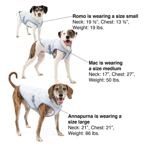 Easidri dog cooling coat hot sale