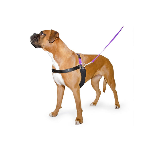Easidri Dog Harness Medium (54-73cm) Ancol PDL Dog Harness & Lead