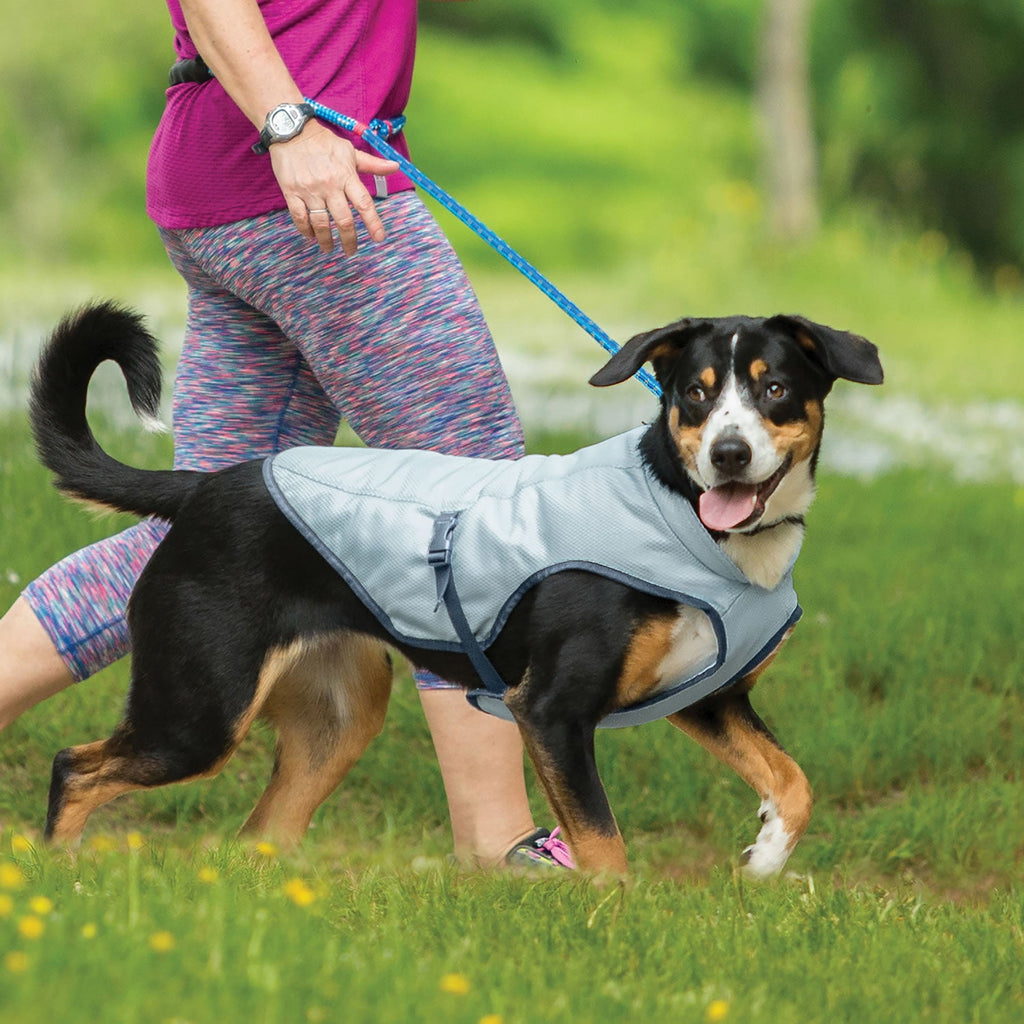 Easidri dog best sale cooling coat