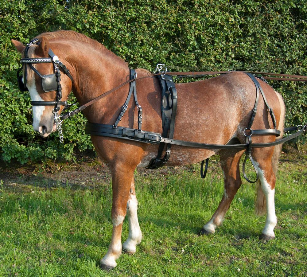 Driving Harness Sets – Riding & Harness Stuff