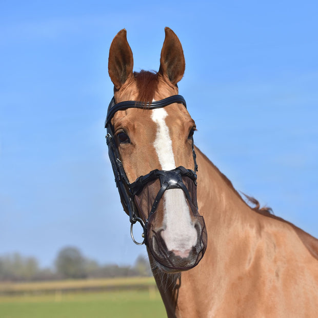 Equilibrium Products Fly Mask Cob/Horse / Black Equilibrium Net Relief Muzzle Net For Grackle Bridle