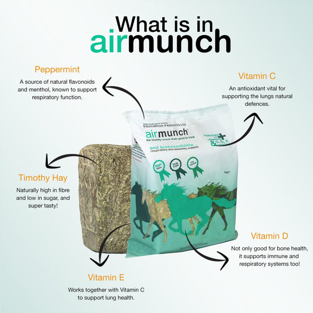 Equilibrium Products Equilibrium Airmunch