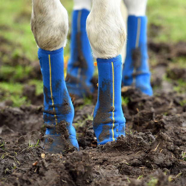 Equilibrium Products Equilibrium Equi-Chaps Close Contact Chaps