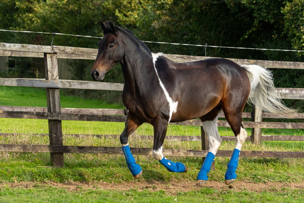 Equilibrium Products Equilibrium Equi-Chaps Close Contact Chaps