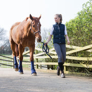 Equilibrium Products Equilibrium Equi-Chaps Hardy Chaps