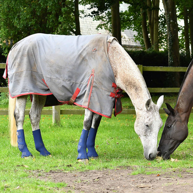 Equilibrium Products Equilibrium Equi-Chaps Hardy Chaps