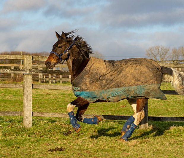 Equilibrium Products Equilibrium Equi-Chaps Hardy Chaps