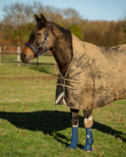 Equilibrium Products Equilibrium Equi-Chaps Hardy Chaps