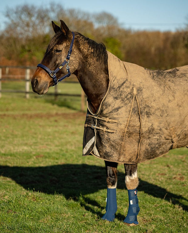 Equilibrium Products Equilibrium Equi-Chaps Hardy Chaps