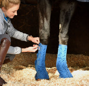 Equilibrium Products Equilibrium Equi-Chaps Stable Chaps