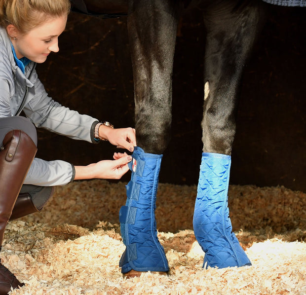 Equilibrium Products Equilibrium Equi-Chaps Stable Chaps