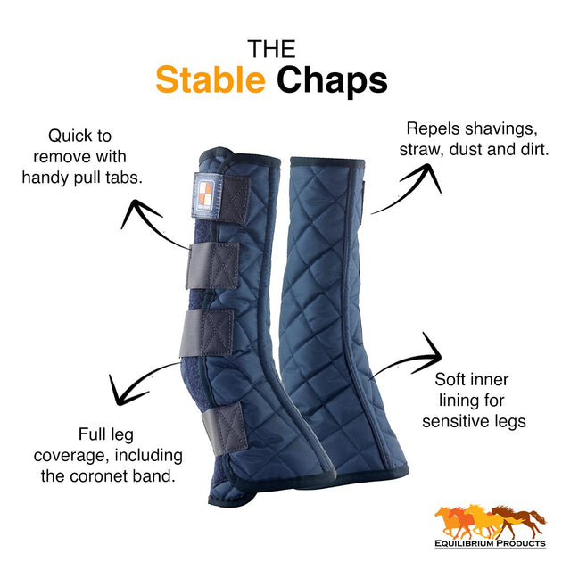 Equilibrium Equi-Chaps Stable Chaps from Equilibrium Products – Riding ...